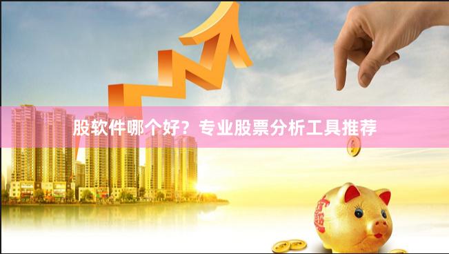 股软件哪个好？专业股票分析工具推荐
