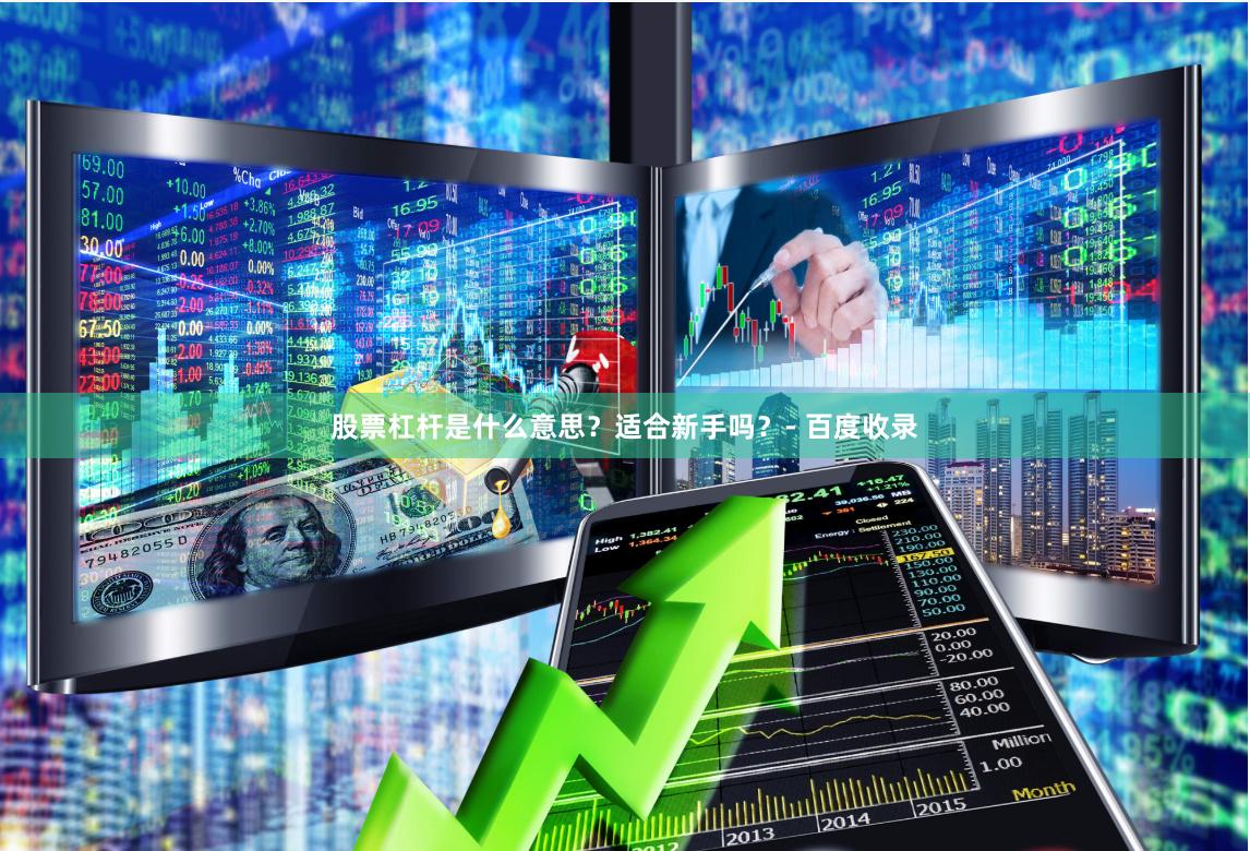 股票杠杆是什么意思？适合新手吗？- 百度收录